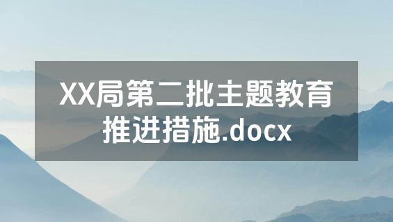 XX局第二批主题教育推进措施.docx