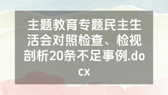 主题教育专题民主生活会对照检查、检视剖析20条不足事例.docx
