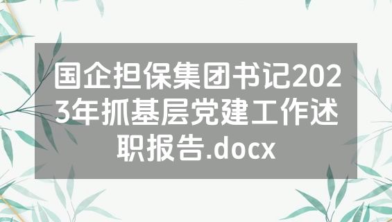 国企担保集团书记2023年抓基层党建工作述职报告.docx
