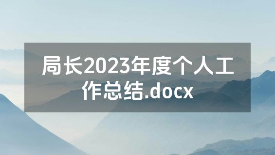 局长2023年度个人工作总结.docx