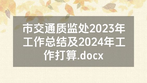 市交通质监处2023年工作总结及2024年工作打算.docx