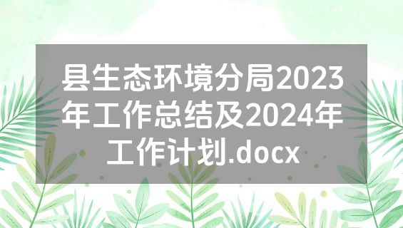县生态环境分局2023年工作总结及2024年工作计划.docx