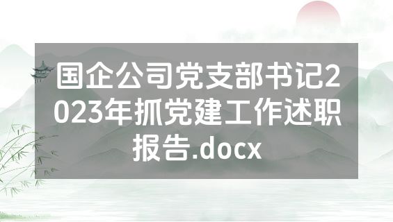 国企公司党支部书记2023年抓党建工作述职报告.docx