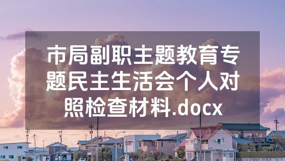 市局副职主题教育专题民主生活会个人对照检查材料.docx