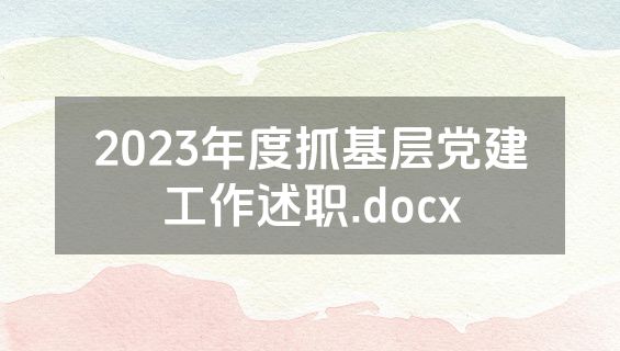 2023年度抓基层党建工作述职.docx