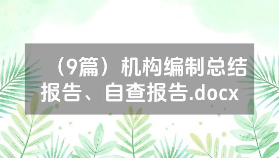 （9篇）机构编制总结报告、自查报告.docx