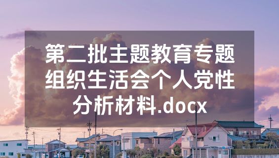 第二批主题教育专题组织生活会个人党性分析材料.docx