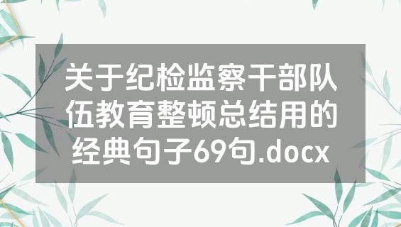 关于纪检监察干部队伍教育整顿总结用的经典句子69句.docx