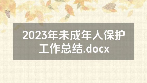 2023年未成年人保护工作总结.docx