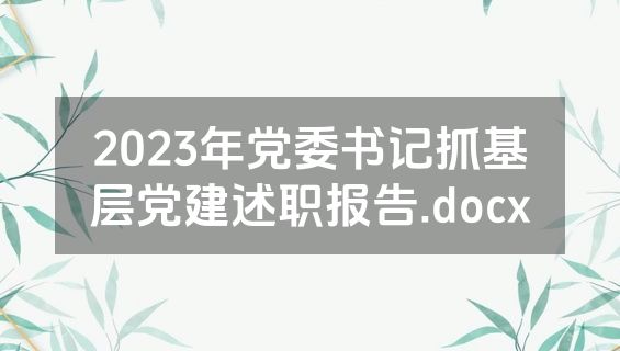 2023年党委书记抓基层党建述职报告.docx