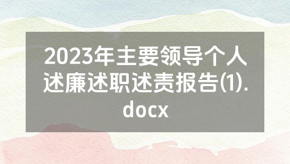 2023年主要领导个人述廉述职述责报告(1).docx