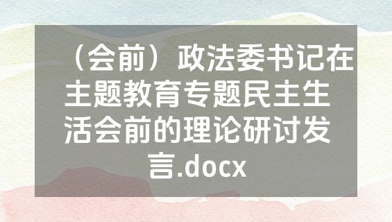 （会前）政法委书记在主题教育专题民主生活会前的理论研讨发言.docx