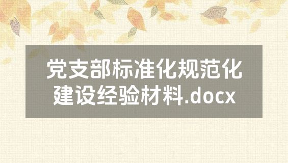 党支部标准化规范化建设经验材料.docx