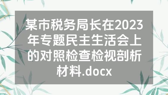 某市税务局长在2023年专题民主生活会上的对照检查检视剖析材料.docx