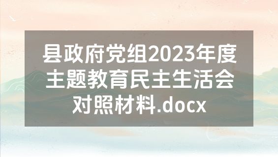 县政府党组2023年度主题教育民主生活会对照材料.docx