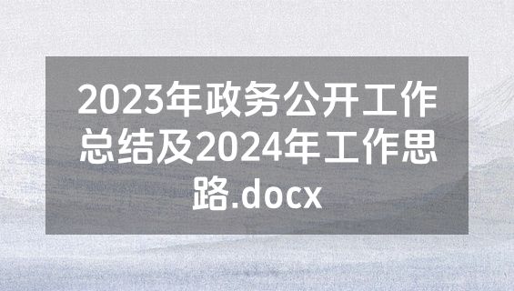 2023年政务公开工作总结及2024年工作思路.docx