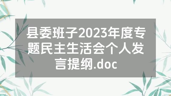 县委班子2023年度专题民主生活会个人发言提纲.doc