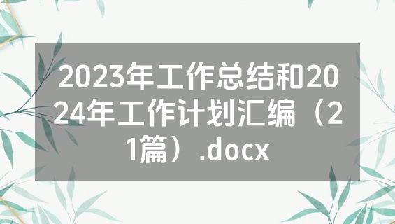 2023年工作总结和2024年工作计划汇编（21篇）.docx