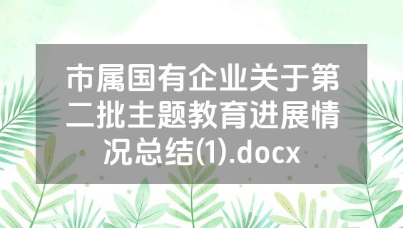 市属国有企业关于第二批主题教育进展情况总结(1).docx
