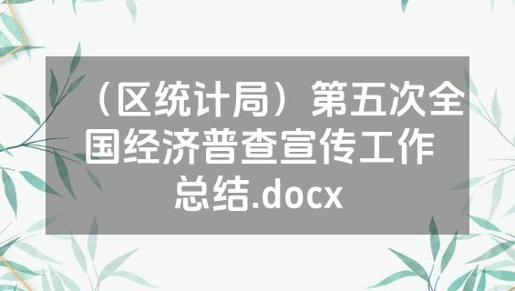 （区统计局）第五次全国经济普查宣传工作总结.docx