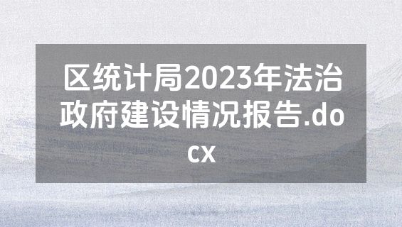 区统计局2023年法治政府建设情况报告.docx