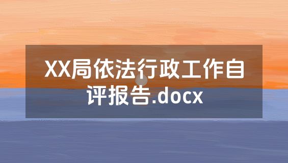 XX局依法行政工作自评报告.docx