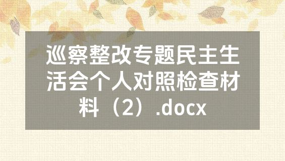 巡察整改专题民主生活会个人对照检查材料（2）.docx