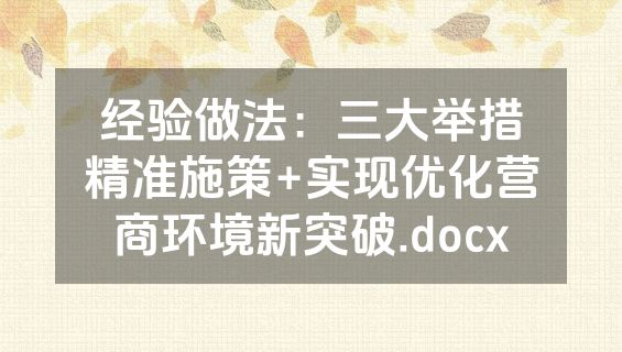 经验做法：三大举措精准施策+实现优化营商环境新突破.docx