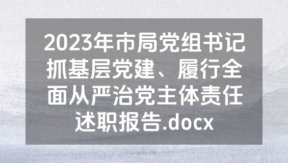 2023年市局党组书记抓基层党建、履行全面从严治党主体责任述职报告.docx