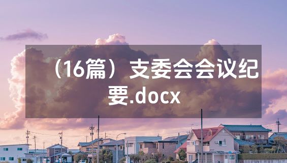 （16篇）支委会会议纪要.docx