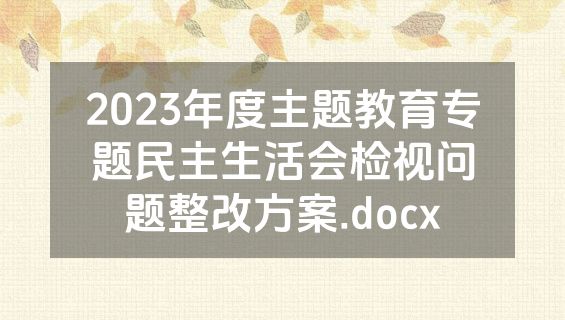2023年度主题教育专题民主生活会检视问题整改方案.docx