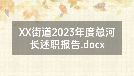 XX街道2023年度总河长述职报告.docx