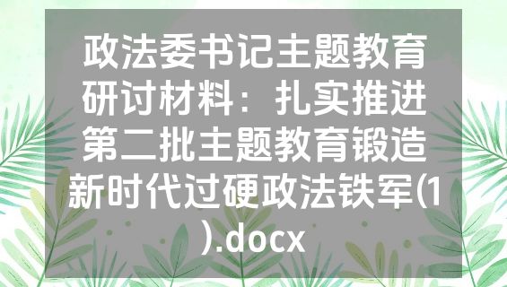 政法委书记主题教育研讨材料：扎实推进第二批主题教育锻造新时代过硬政法铁军(1).docx