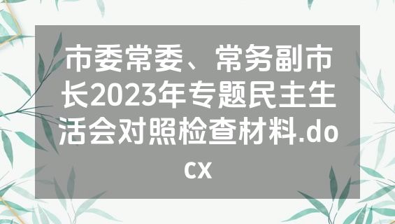 市委常委、常务副市长2023年专题民主生活会对照检查材料.docx