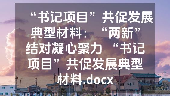 “书记项目”共促发展典型材料：“两新”结对凝心聚力 “书记项目”共促发展典型材料.docx