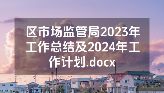 区市场监管局2023年工作总结及2024年工作计划.docx