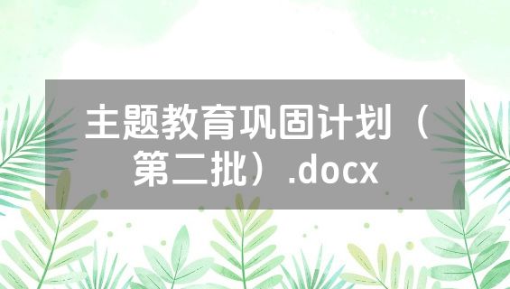主题教育巩固计划（第二批）.docx