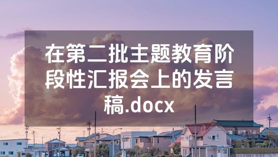 在第二批主题教育阶段性汇报会上的发言稿.docx