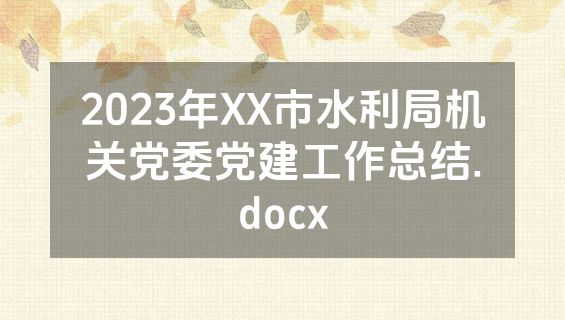 2023年XX市水利局机关党委党建工作总结.docx