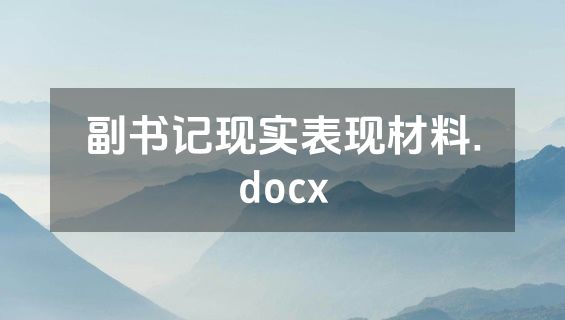 副书记现实表现材料.docx