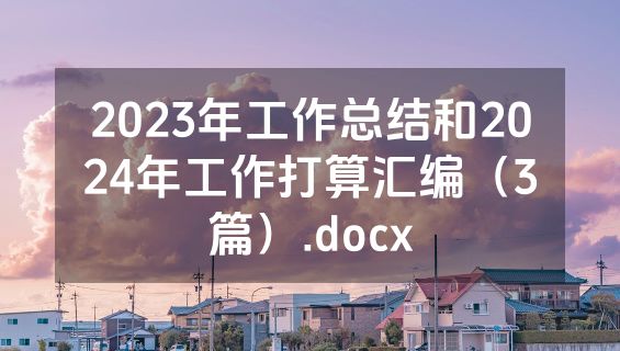 2023年工作总结和2024年工作打算汇编（3篇）.docx