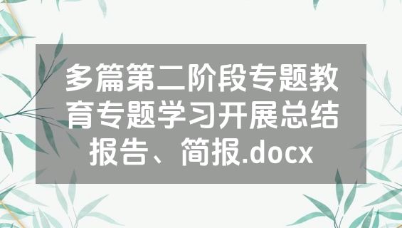 多篇第二阶段专题教育专题学习开展总结报告、简报.docx