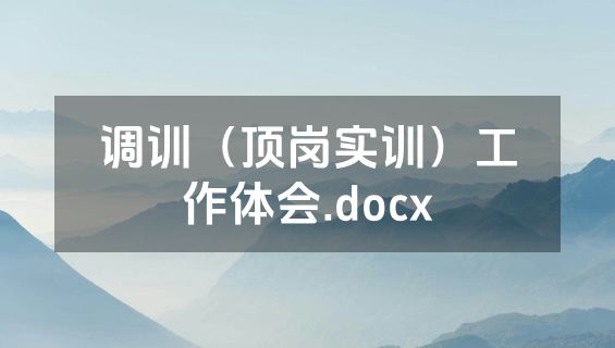调训（顶岗实训）工作体会.docx