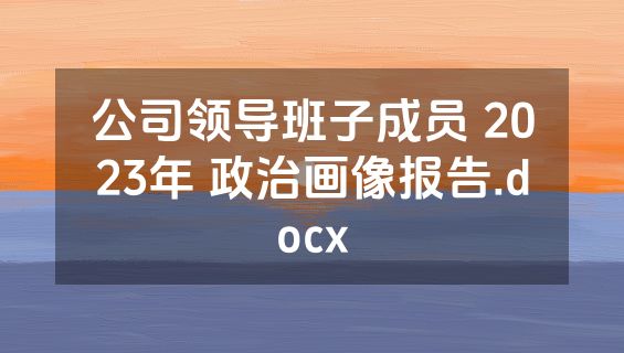 公司领导班子成员 2023年 政治画像报告.docx