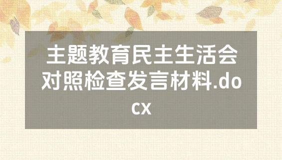 主题教育民主生活会对照检查发言材料.docx