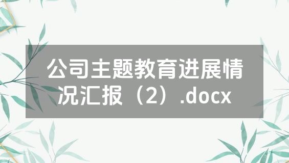 公司主题教育进展情况汇报（2）.docx