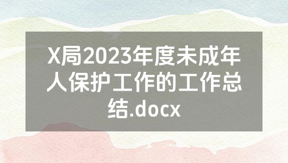 X局2023年度未成年人保护工作的工作总结.docx