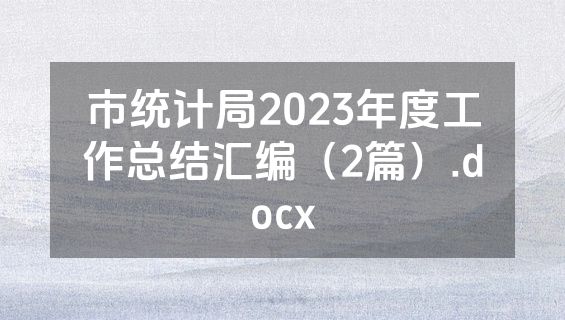 市统计局2023年度工作总结汇编（2篇）.docx