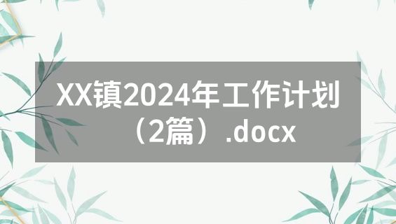XX镇2024年工作计划（2篇）.docx