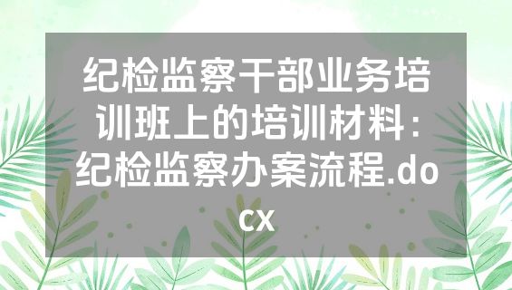 纪检监察干部业务培训班上的培训材料：纪检监察办案流程.docx